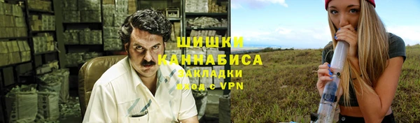 дживик Тайга