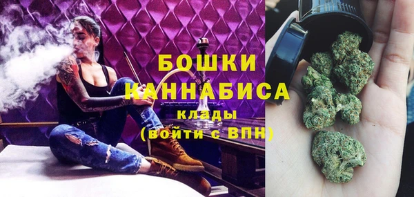 сатива Белоозёрский