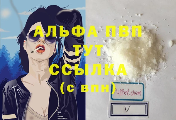 сатива Белоозёрский