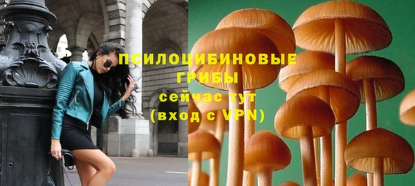 сатива Белоозёрский