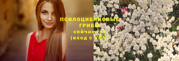 МДПВ Белокуриха