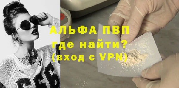 сатива Белоозёрский