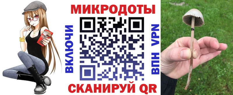 Галлюциногенные грибы мухоморы Красный Кут